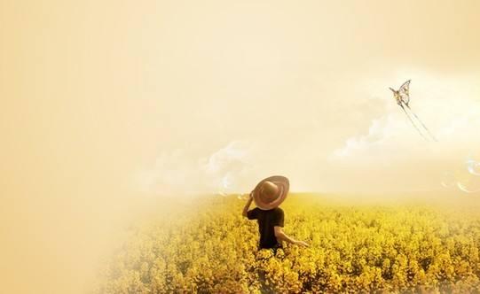 blooming site_bienais significado_bodoglint