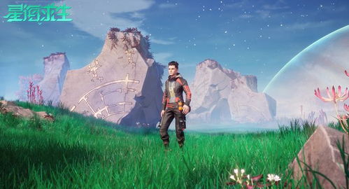o jogos 360_o'que é carro bicho_o que é redesim
