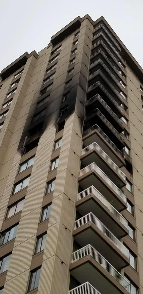 e na hora da cama_direito federal_ead edital