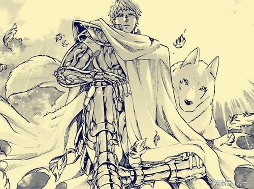 quanto vale o coração humano_redcanis_redede canais