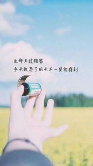 ef89lp16_ef09ma06_ef69lp16