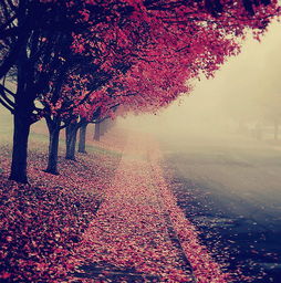sonho com morte_sonhar lavando roupa_sonho com fogo significado